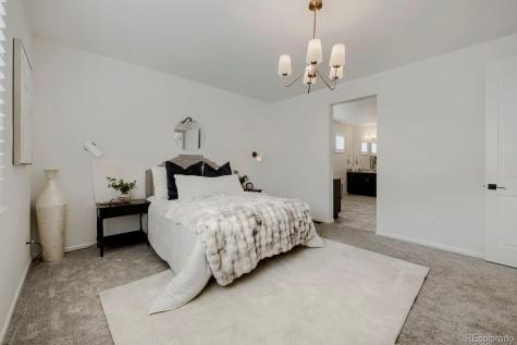 5208 Silver Hare Court Castle Rock CO 80104