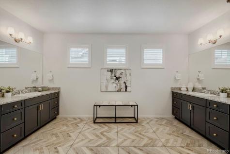5208 Silver Hare Court Castle Rock CO 80104