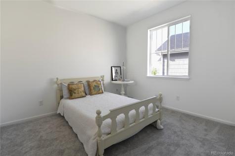5208 Silver Hare Court Castle Rock CO 80104