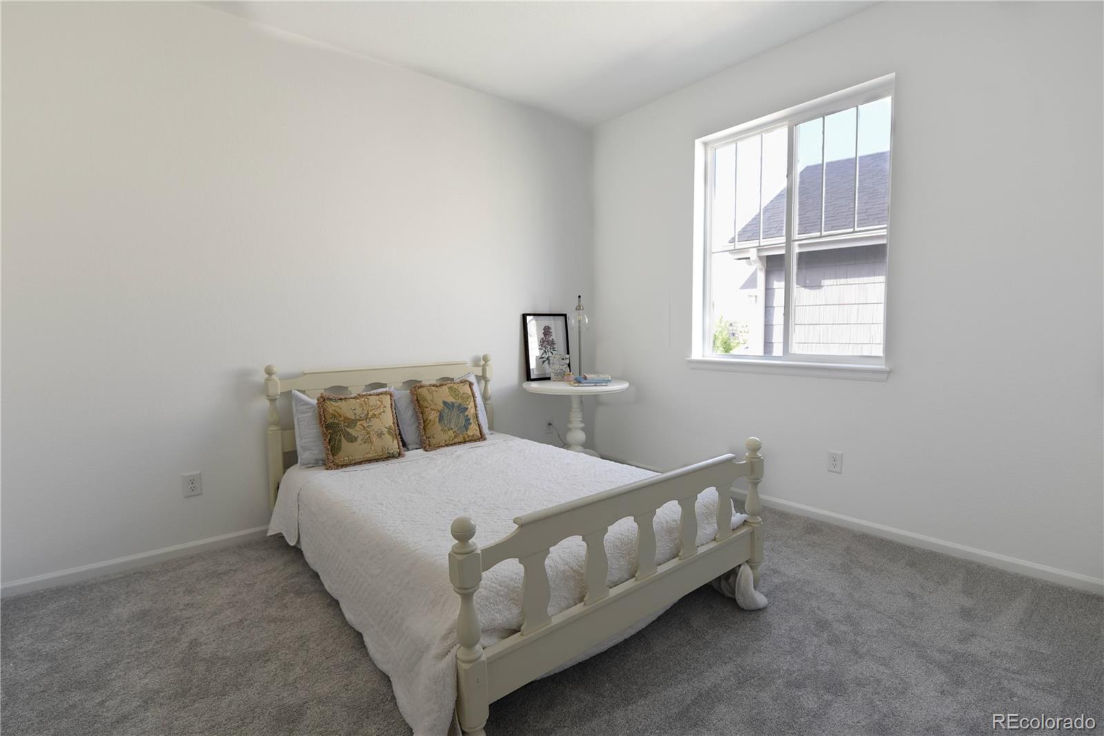 5208 Silver Hare Court Castle Rock CO 80104