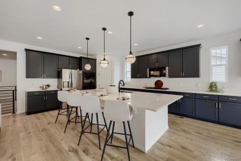 5208 Silver Hare Court Castle Rock CO 80104