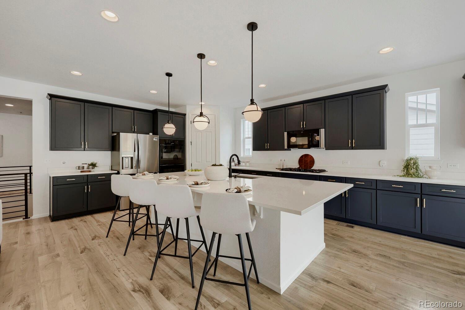 5208 Silver Hare Court Castle Rock CO 80104