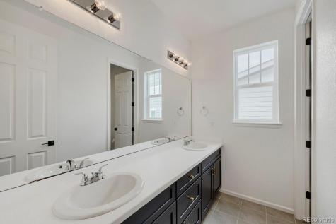 5208 Silver Hare Court Castle Rock CO 80104
