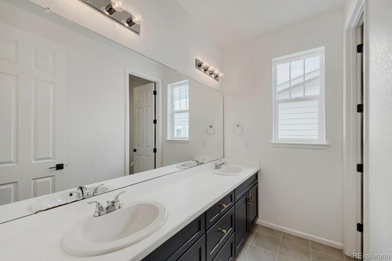5208 Silver Hare Court Castle Rock CO 80104