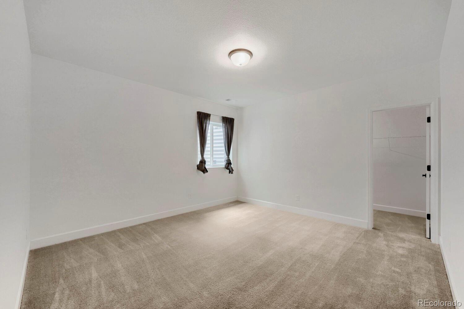 5208 Silver Hare Court Castle Rock CO 80104