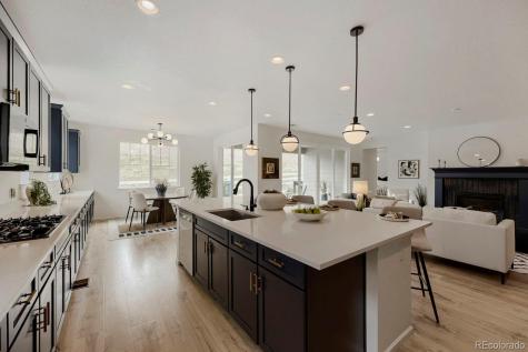 5208 Silver Hare Court Castle Rock CO 80104