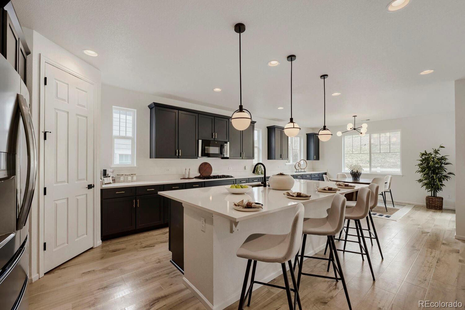 5208 Silver Hare Court Castle Rock CO 80104