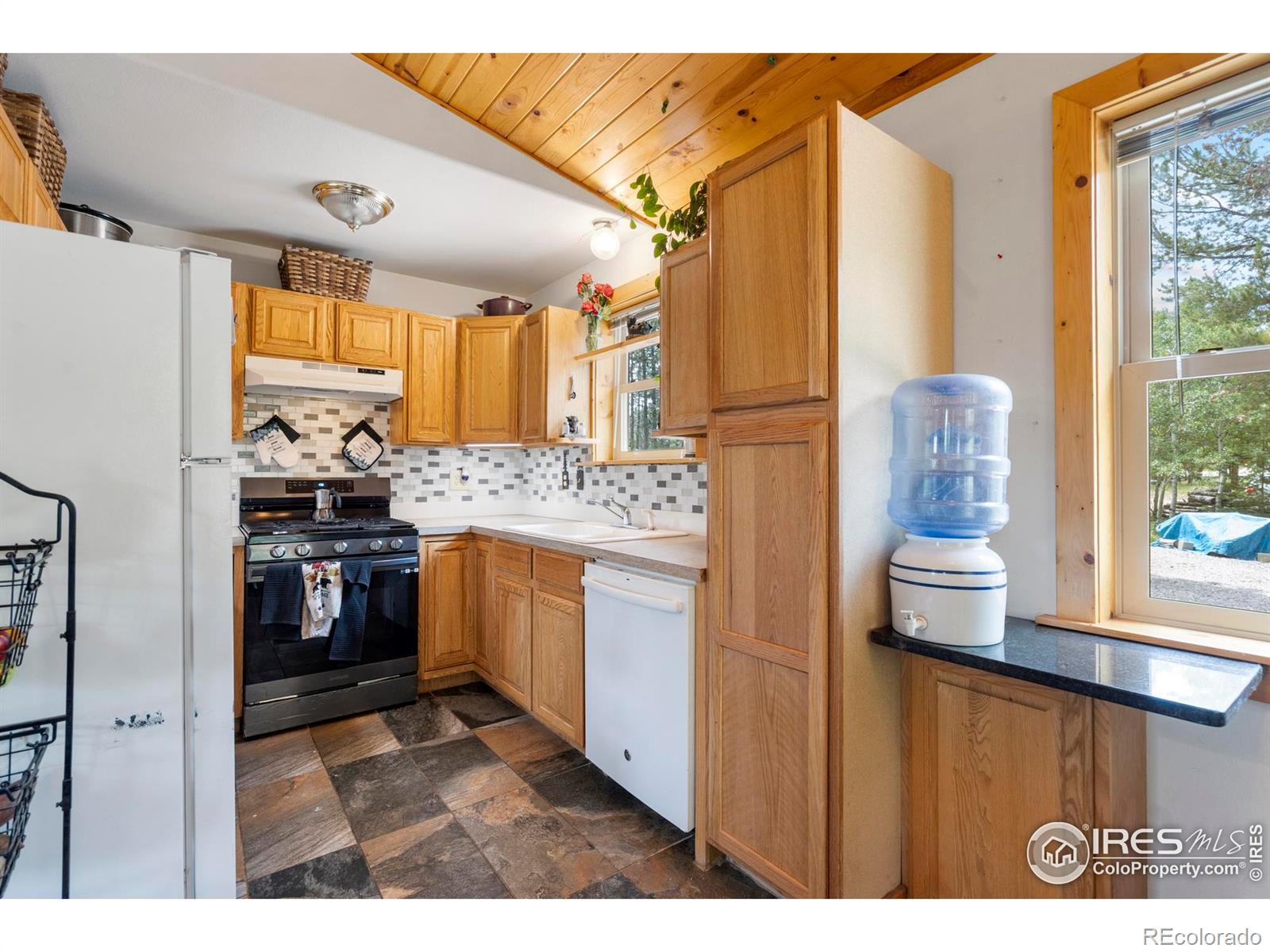 28 Nonami Court Red Feather Lakes CO 80545