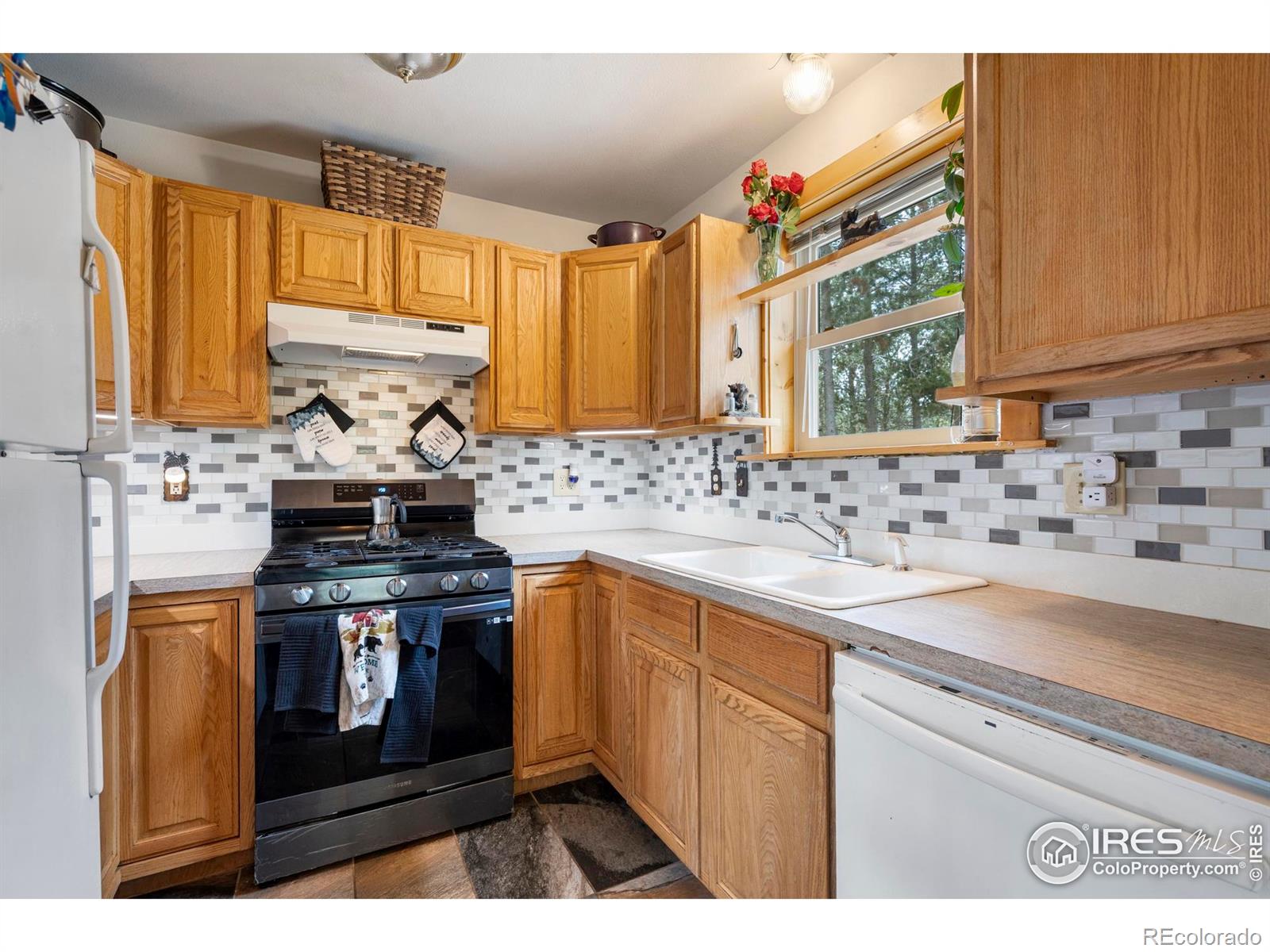 28 Nonami Court Red Feather Lakes CO 80545