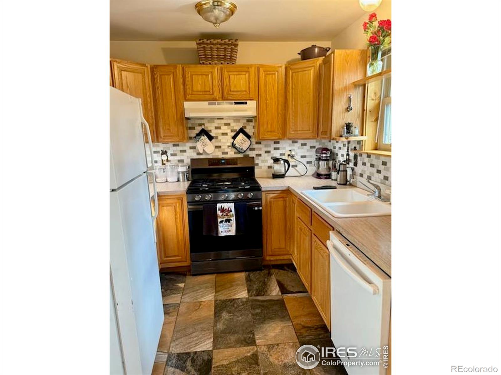 28 Nonami Court Red Feather Lakes CO 80545