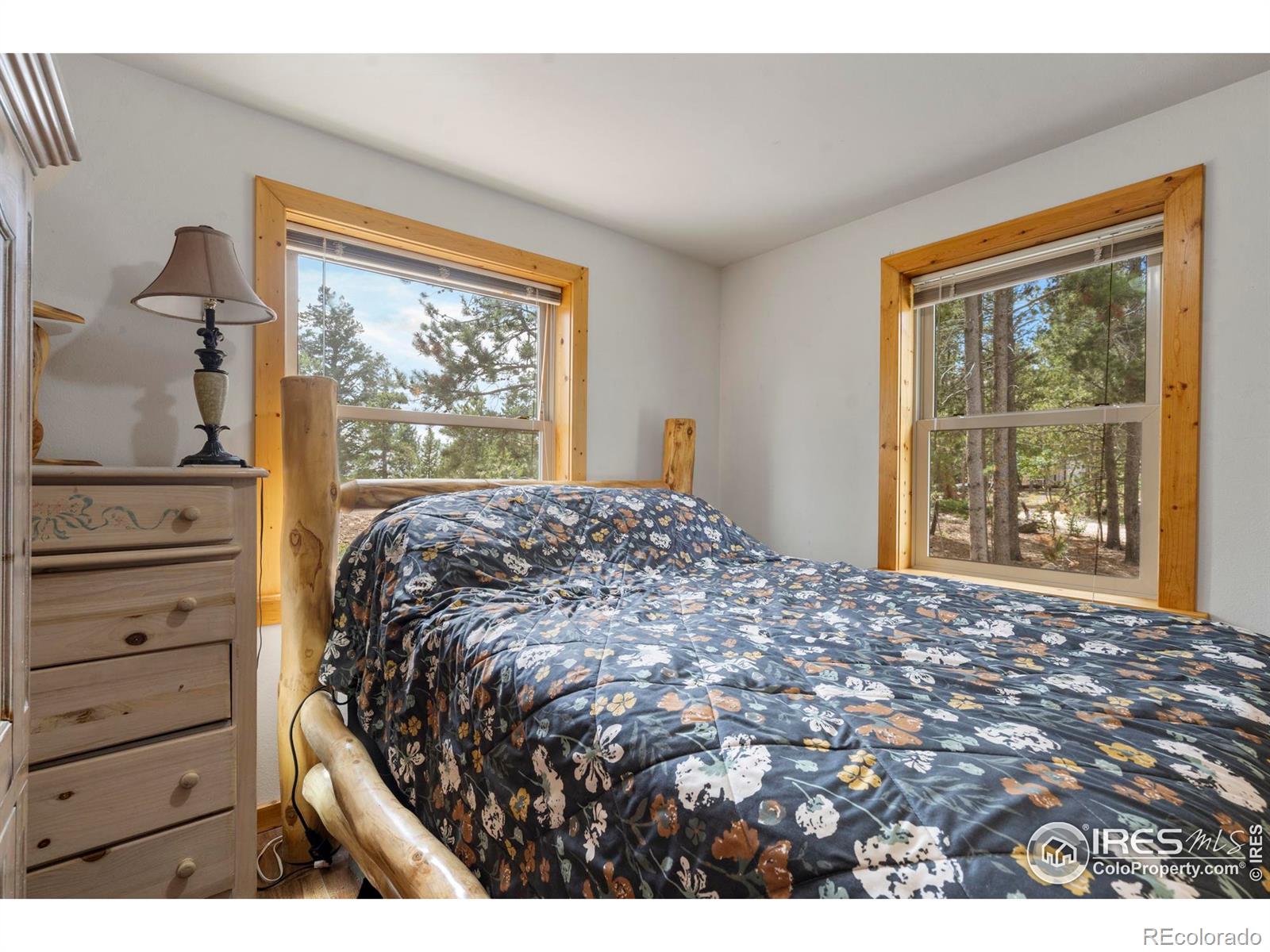28 Nonami Court Red Feather Lakes CO 80545