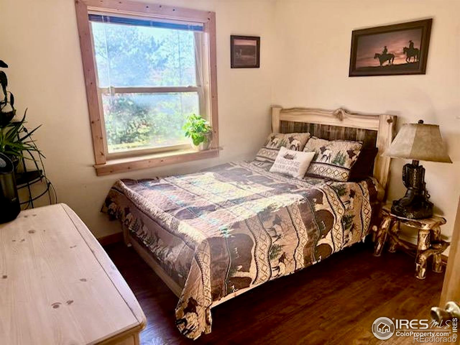 28 Nonami Court Red Feather Lakes CO 80545