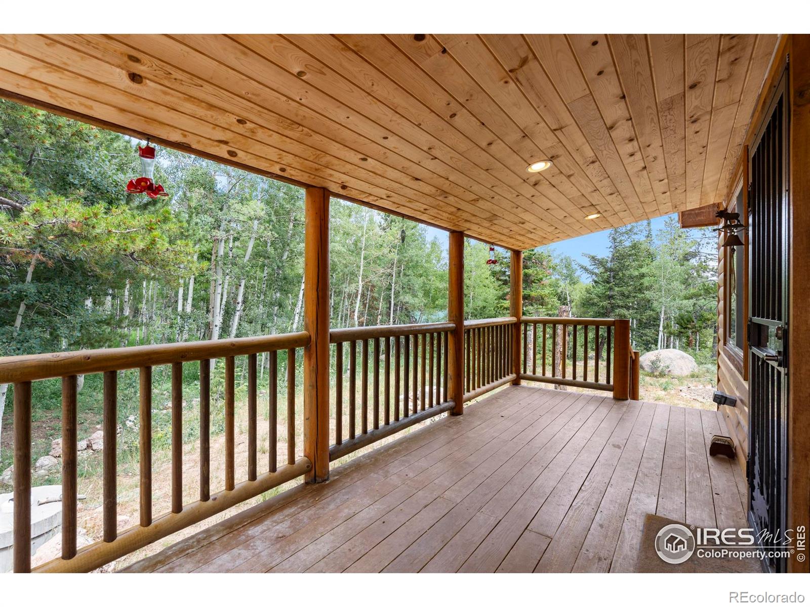 28 Nonami Court Red Feather Lakes CO 80545