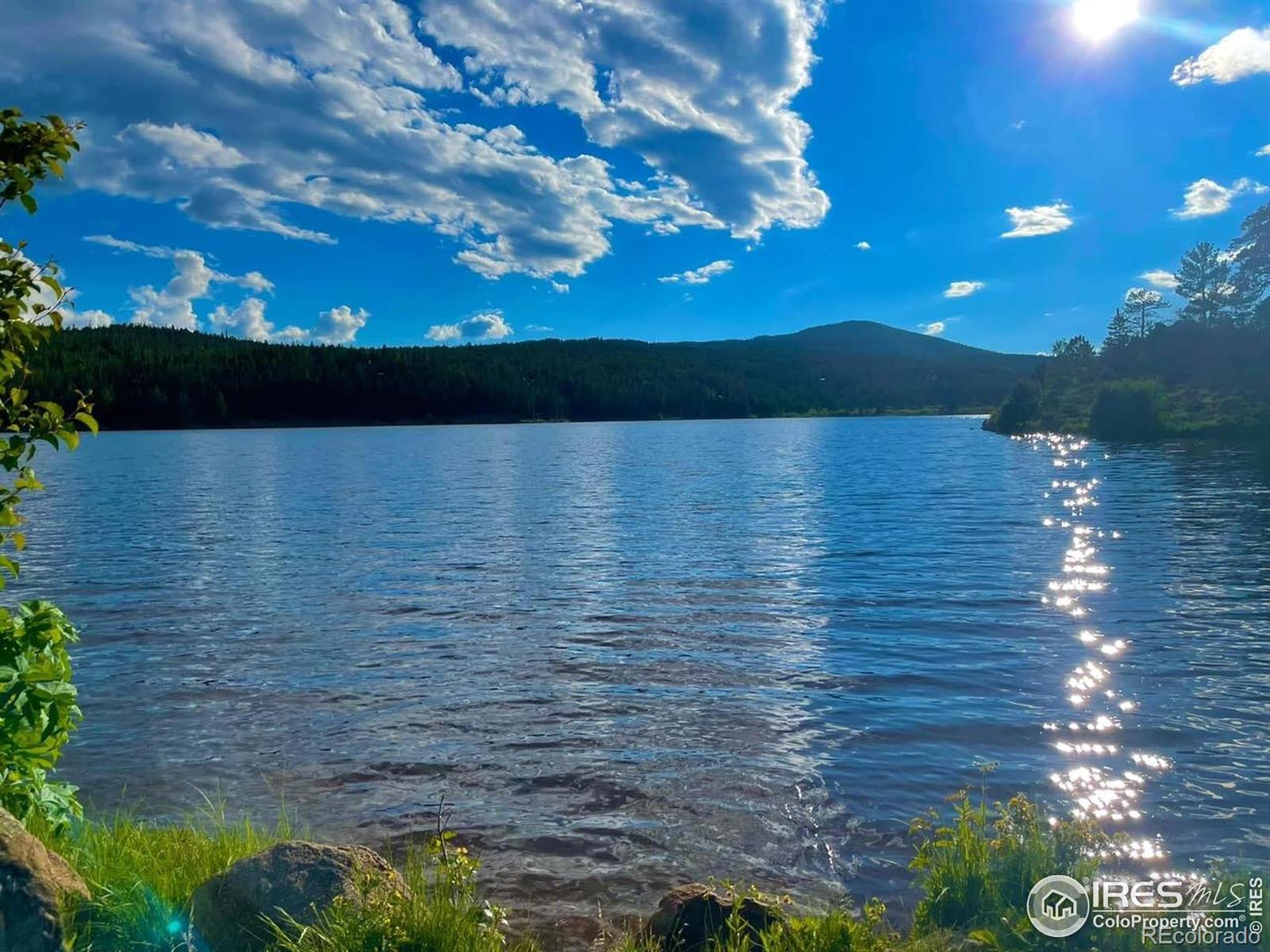 28 Nonami Court Red Feather Lakes CO 80545