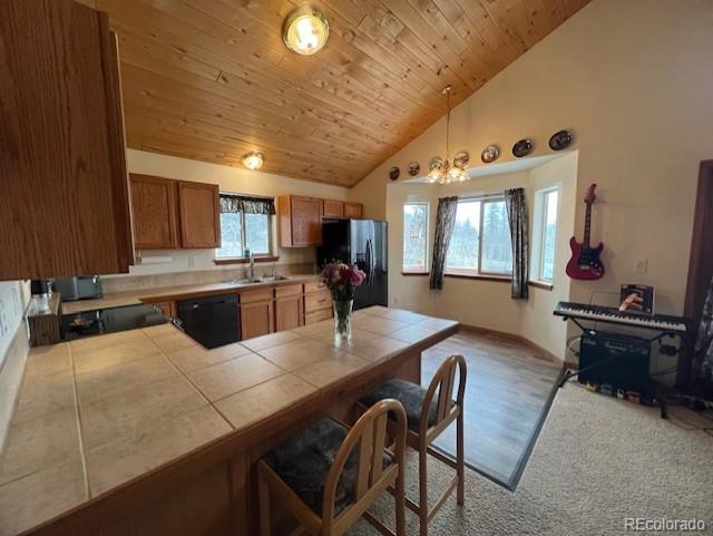 1257 Chippewa Road Jefferson CO 80456