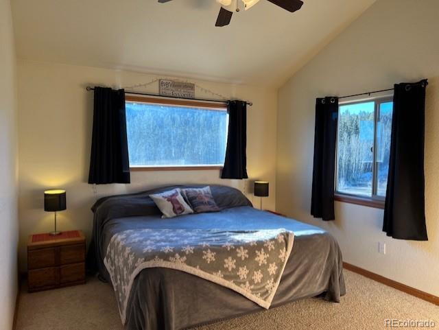 1257 Chippewa Road Jefferson CO 80456