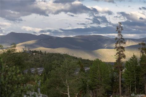511 Ryan Gulch Road Silverthorne CO 80498