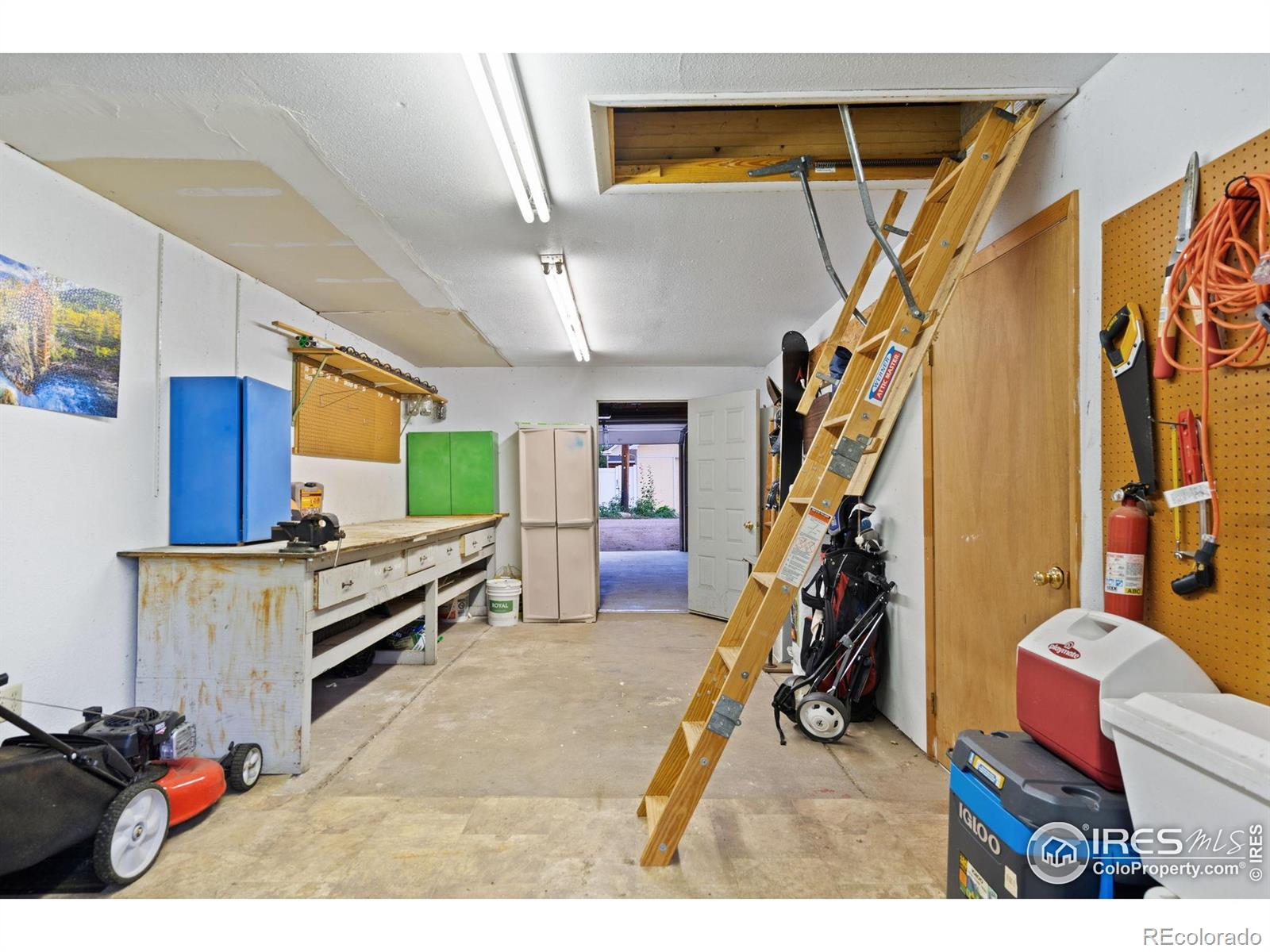 322 Maple Avenue Eaton CO 80615