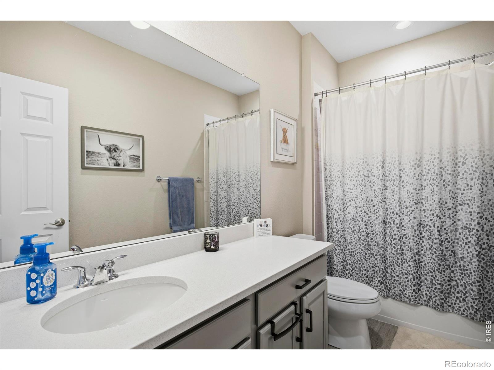 5743 Jedidiah Drive Timnath CO 80547