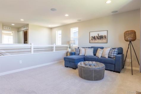 10887 Pastel Point Parker CO 80134