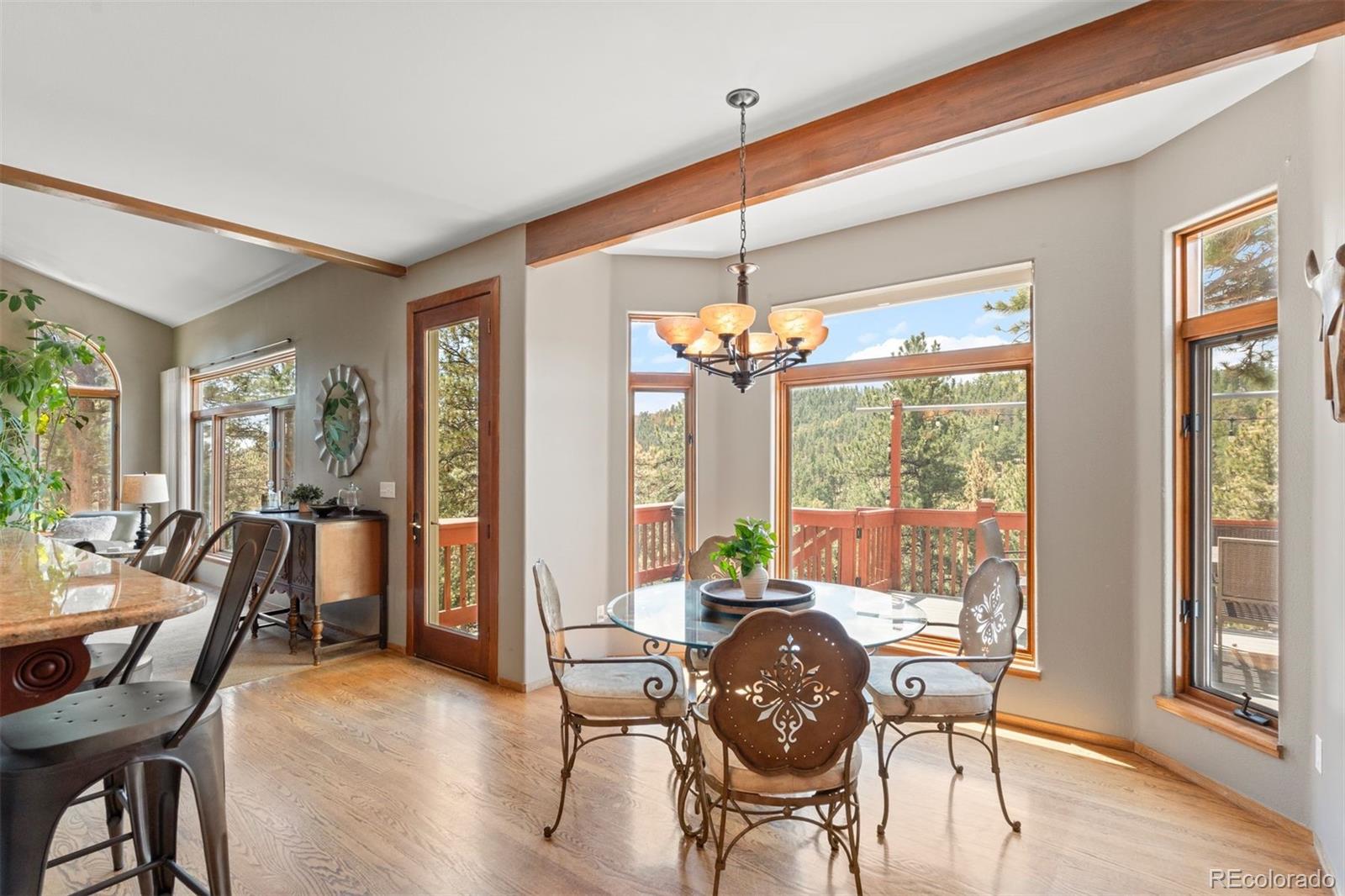 442 Ruby Forest Trail Evergreen CO 80439