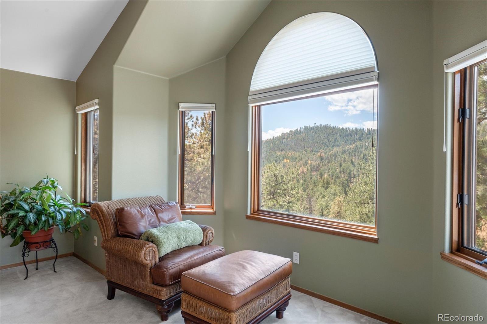 442 Ruby Forest Trail Evergreen CO 80439