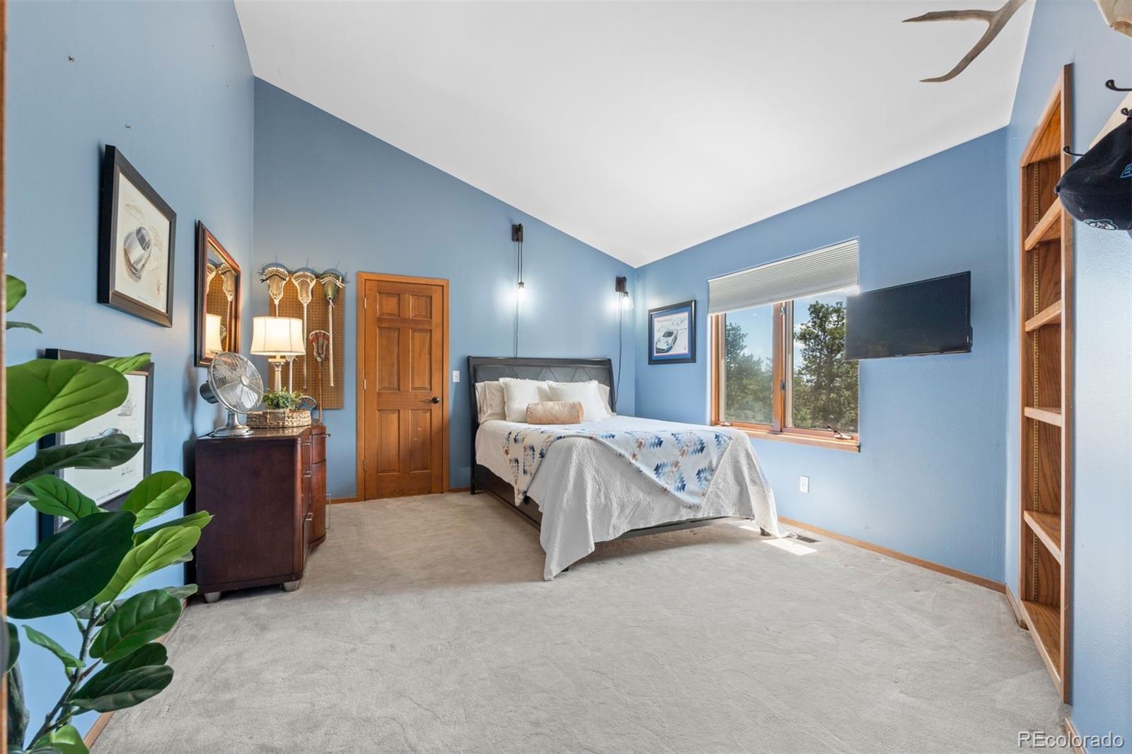442 Ruby Forest Trail Evergreen CO 80439