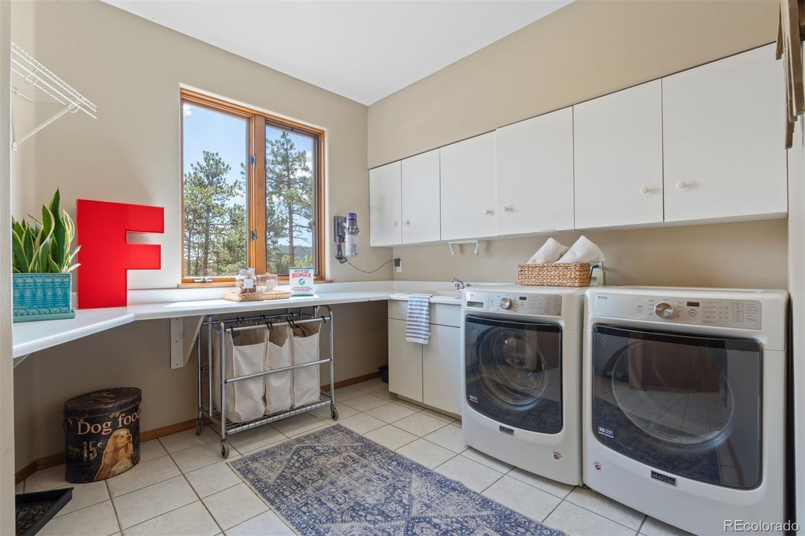 442 Ruby Forest Trail Evergreen CO 80439