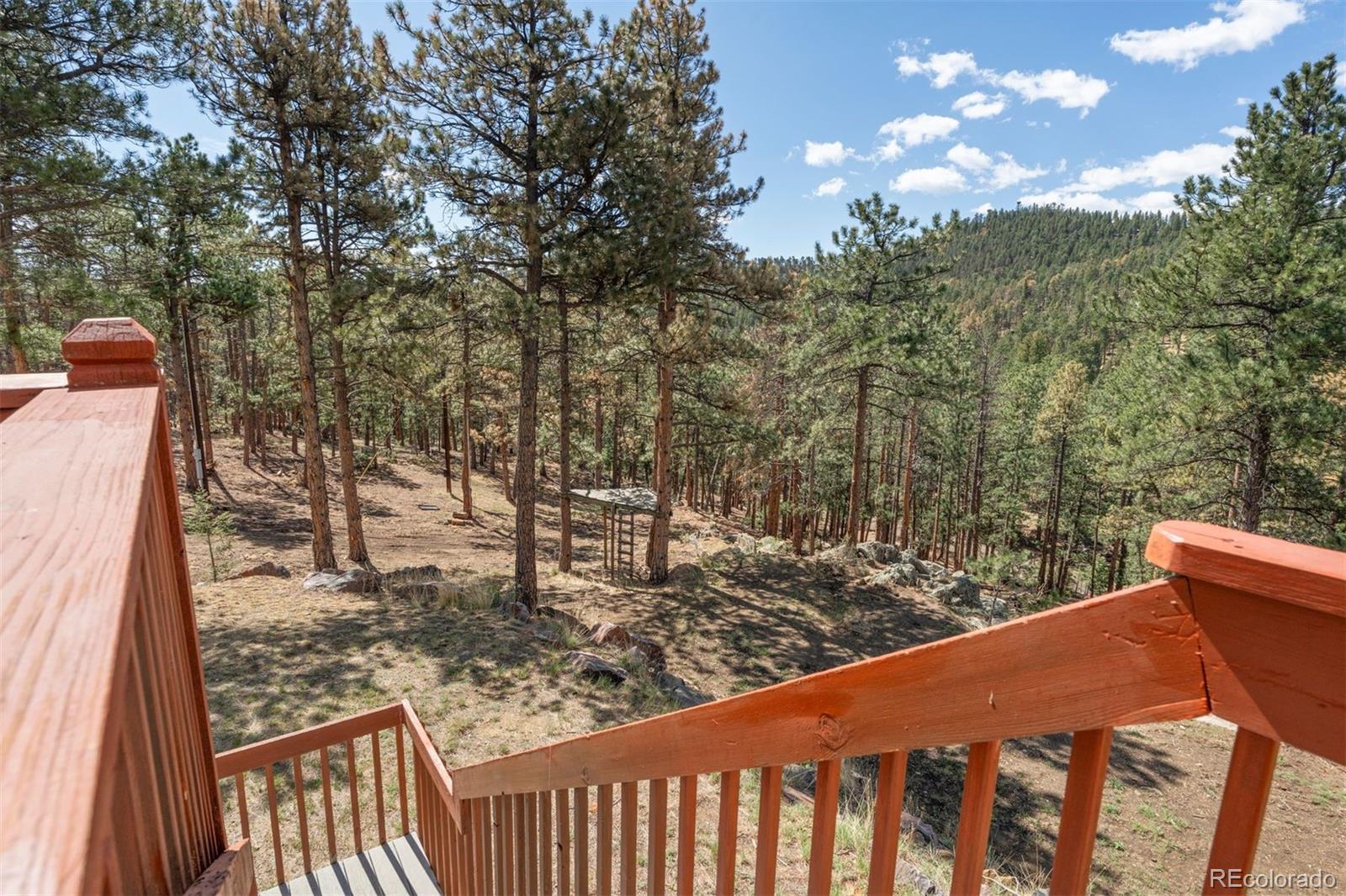 442 Ruby Forest Trail Evergreen CO 80439