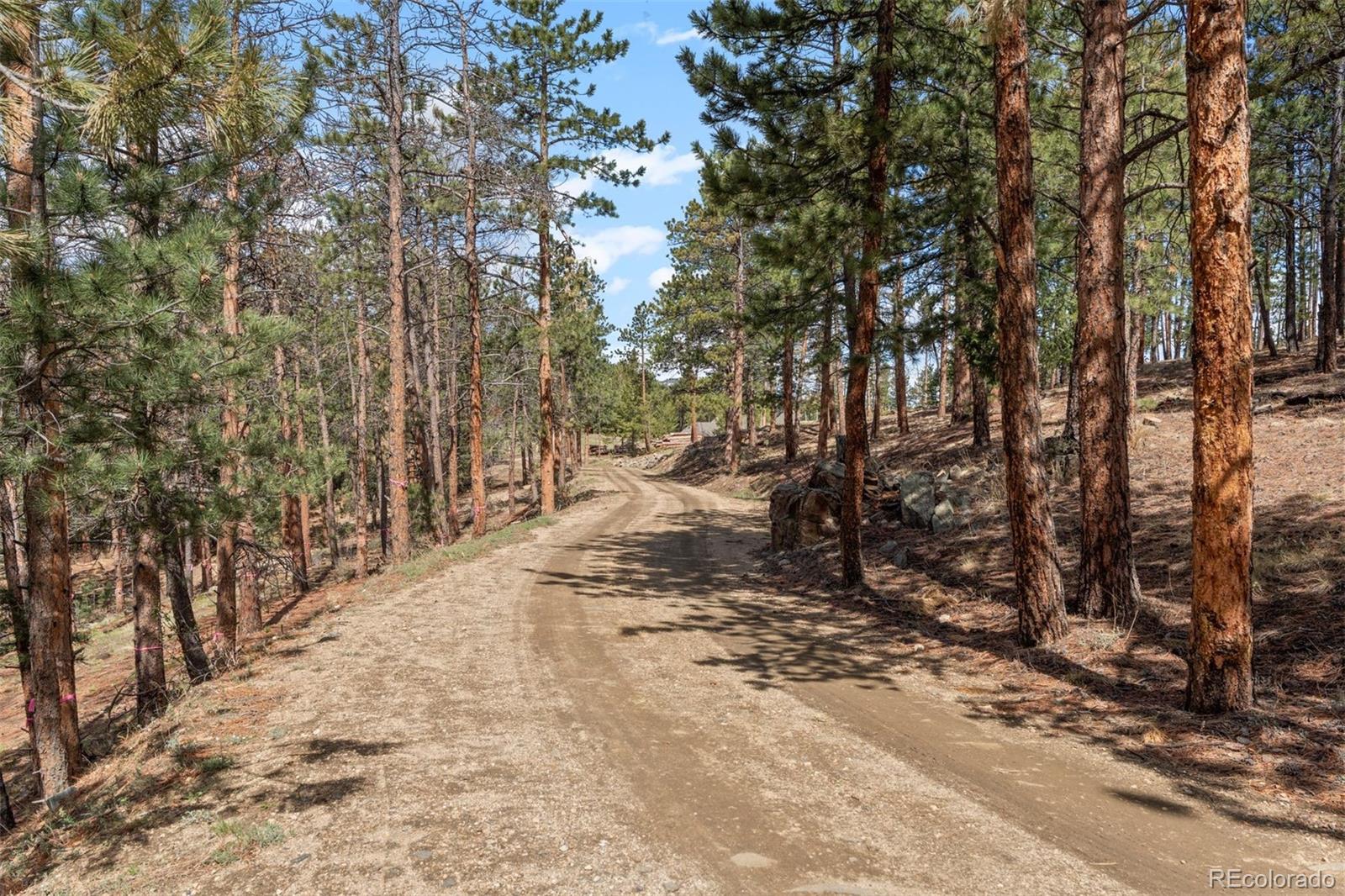 442 Ruby Forest Trail Evergreen CO 80439