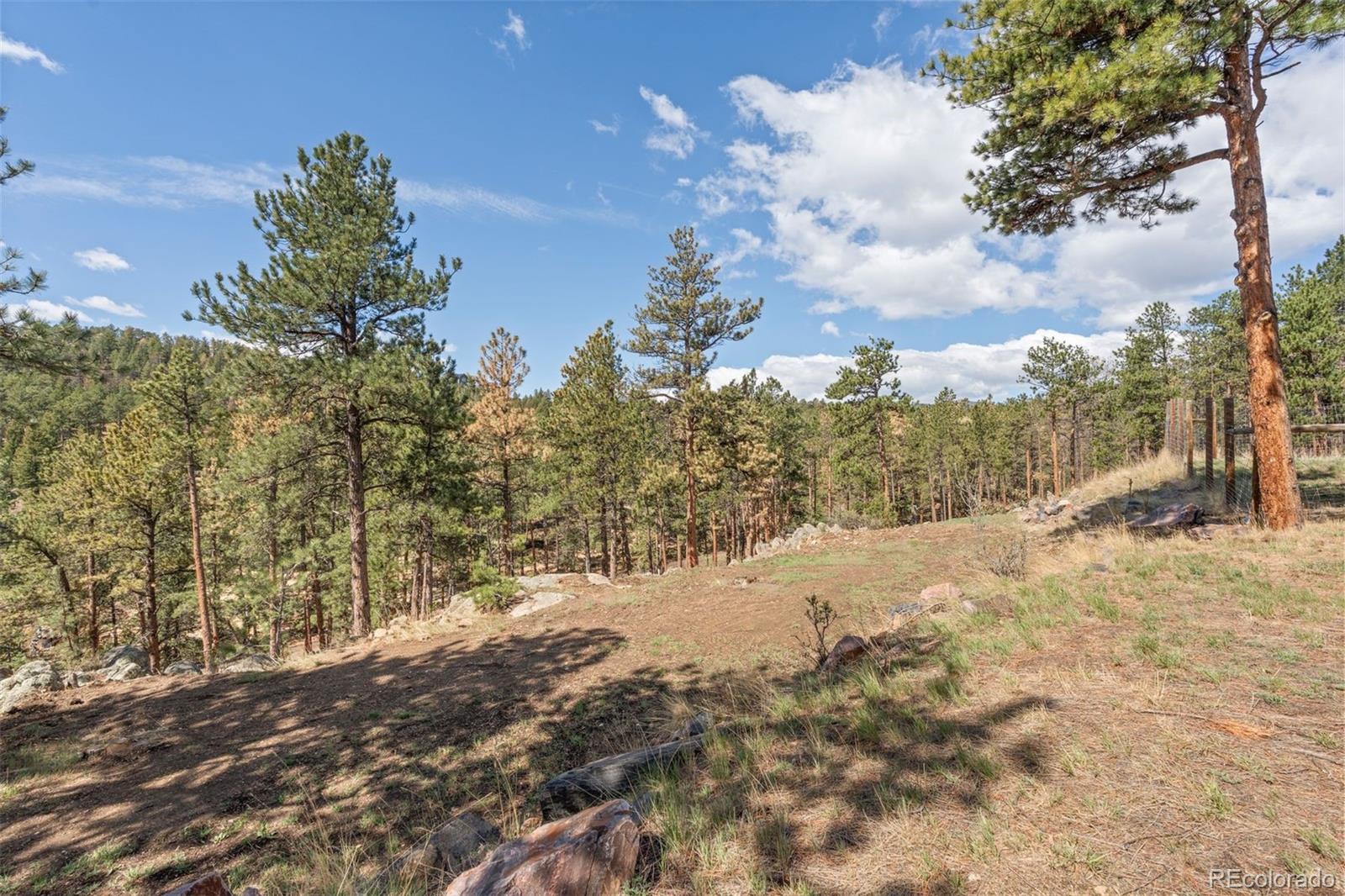 442 Ruby Forest Trail Evergreen CO 80439