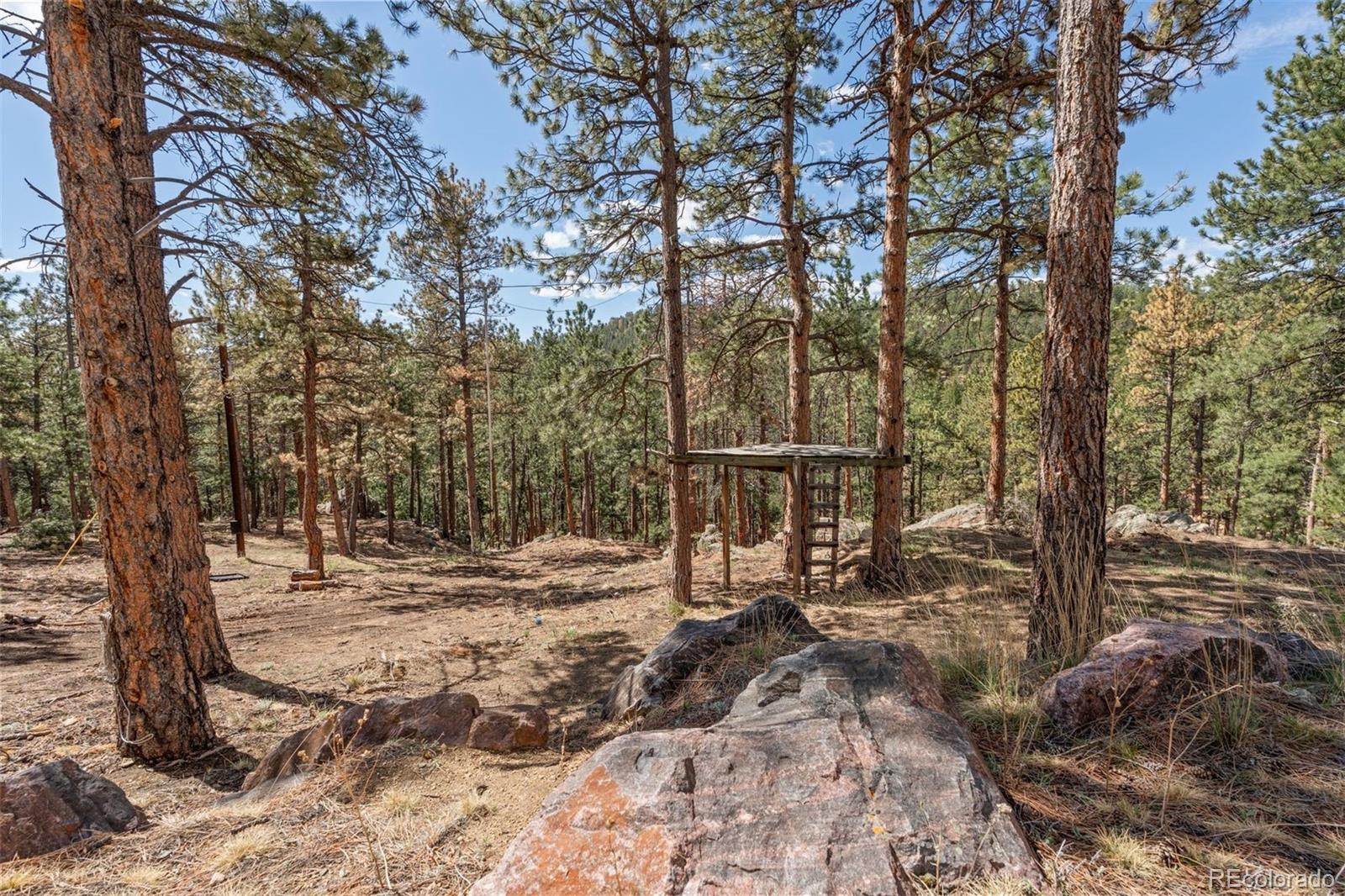 442 Ruby Forest Trail Evergreen CO 80439