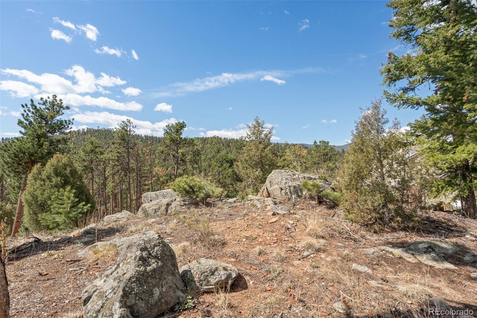 442 Ruby Forest Trail Evergreen CO 80439