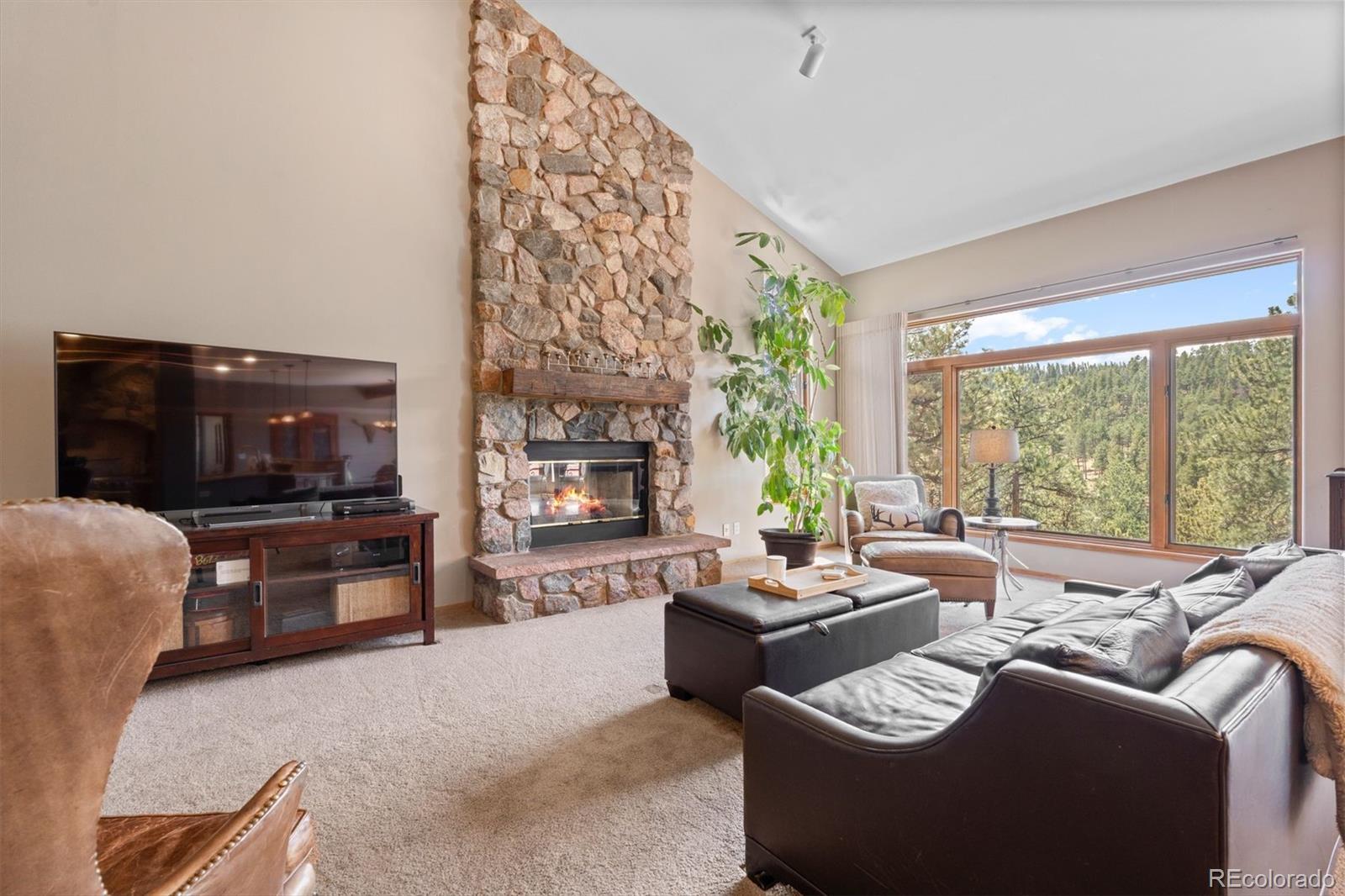 442 Ruby Forest Trail Evergreen CO 80439
