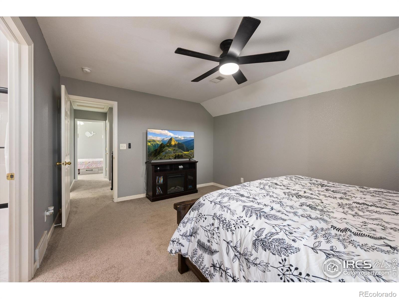 253 Buckeye Avenue Eaton CO 80615