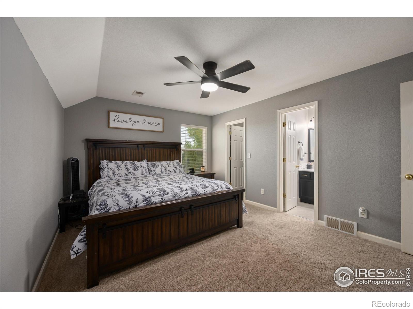 253 Buckeye Avenue Eaton CO 80615