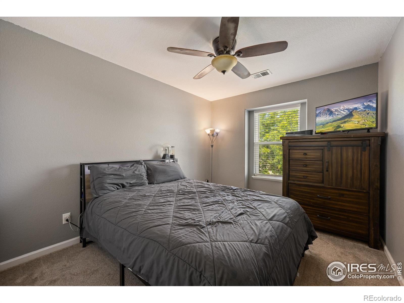 253 Buckeye Avenue Eaton CO 80615