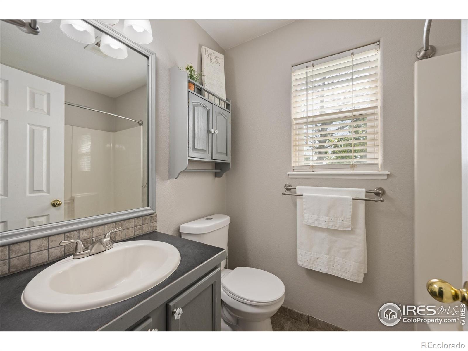 253 Buckeye Avenue Eaton CO 80615