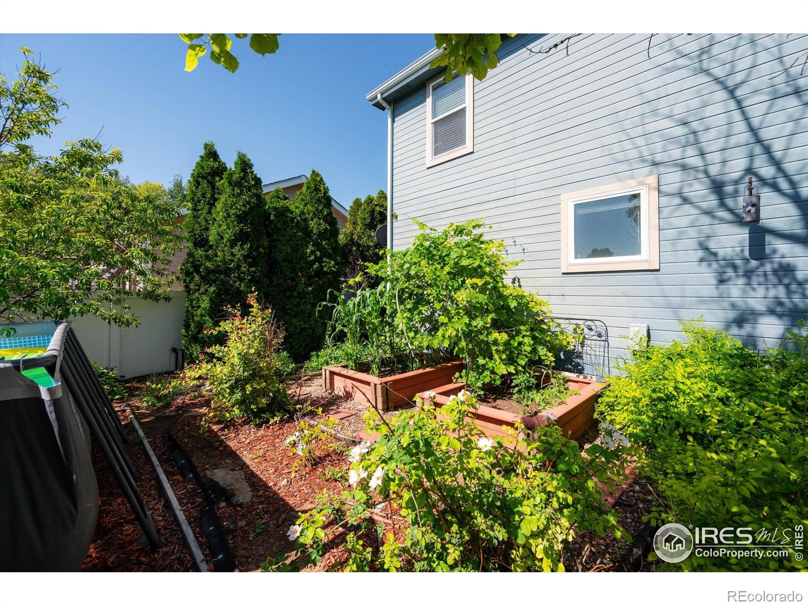 253 Buckeye Avenue Eaton CO 80615