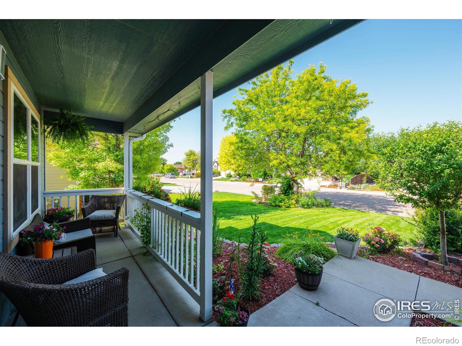 253 Buckeye Avenue Eaton CO 80615