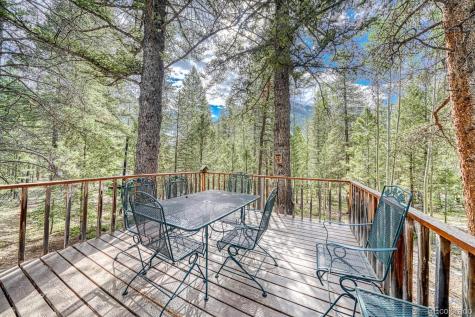 22297 County Road 292d Nathrop CO 81236