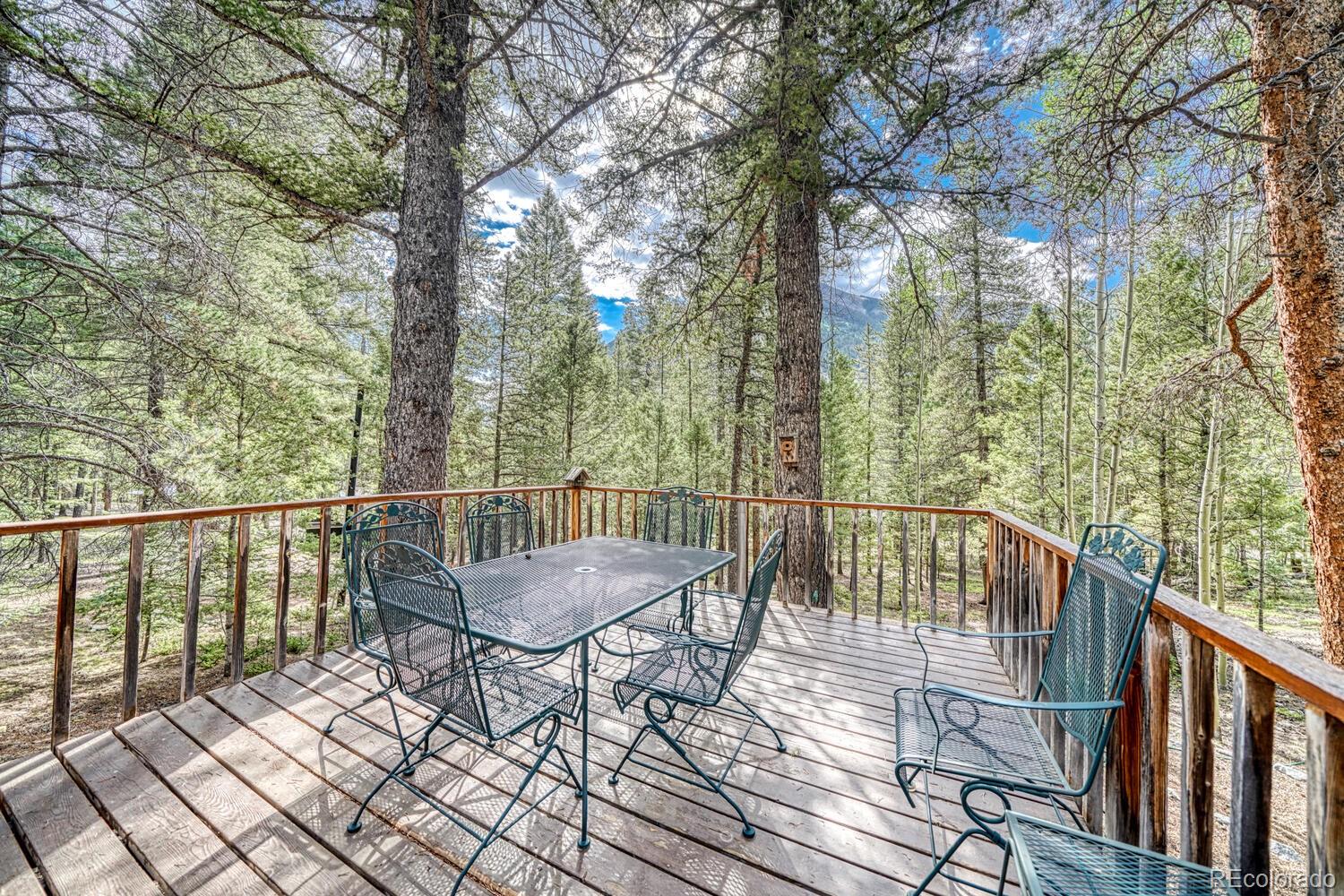 22297 County Road 292d Nathrop CO 81236