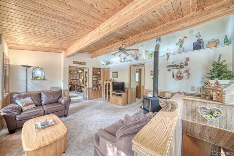 22297 County Road 292d Nathrop CO 81236