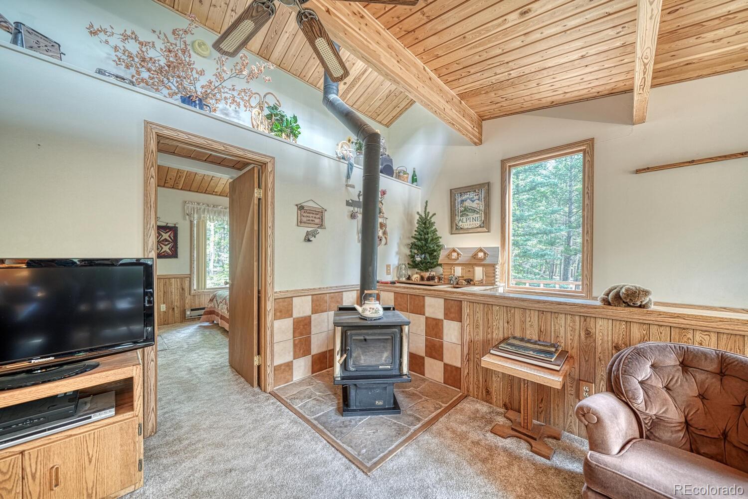22297 County Road 292d Nathrop CO 81236