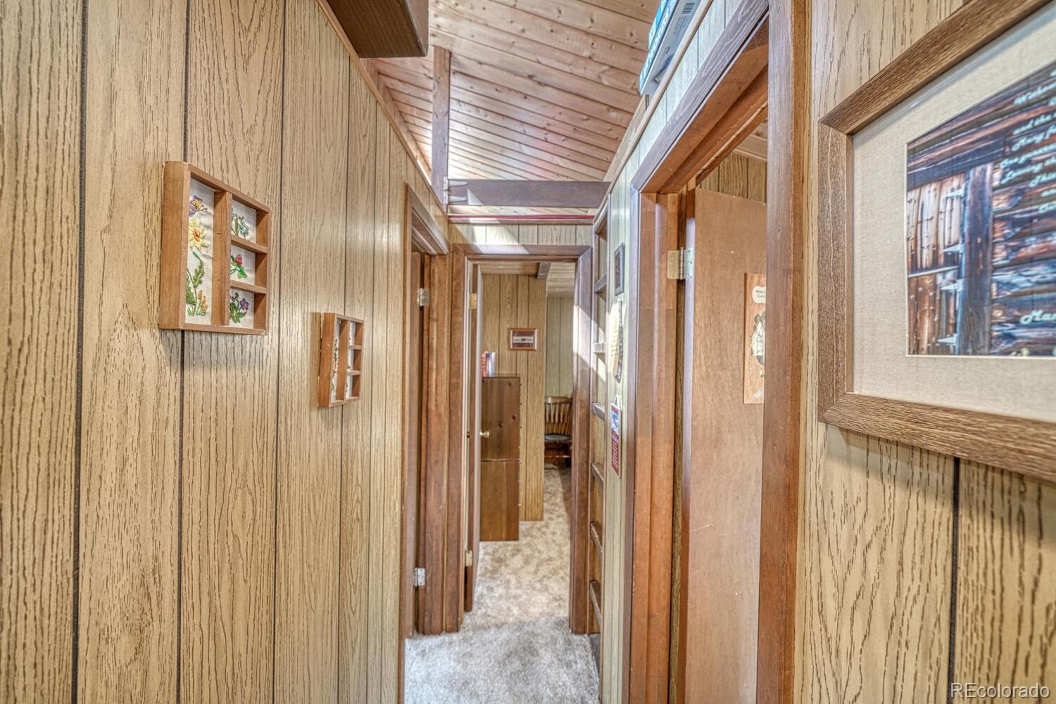 22297 County Road 292d Nathrop CO 81236