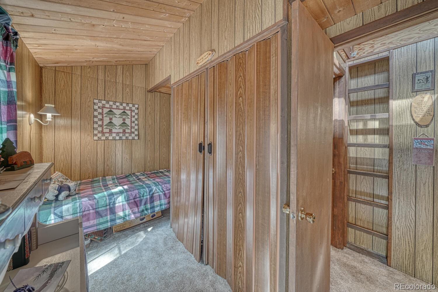 22297 County Road 292d Nathrop CO 81236