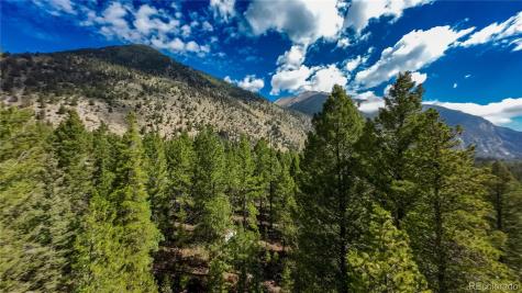 22297 County Road 292d Nathrop CO 81236