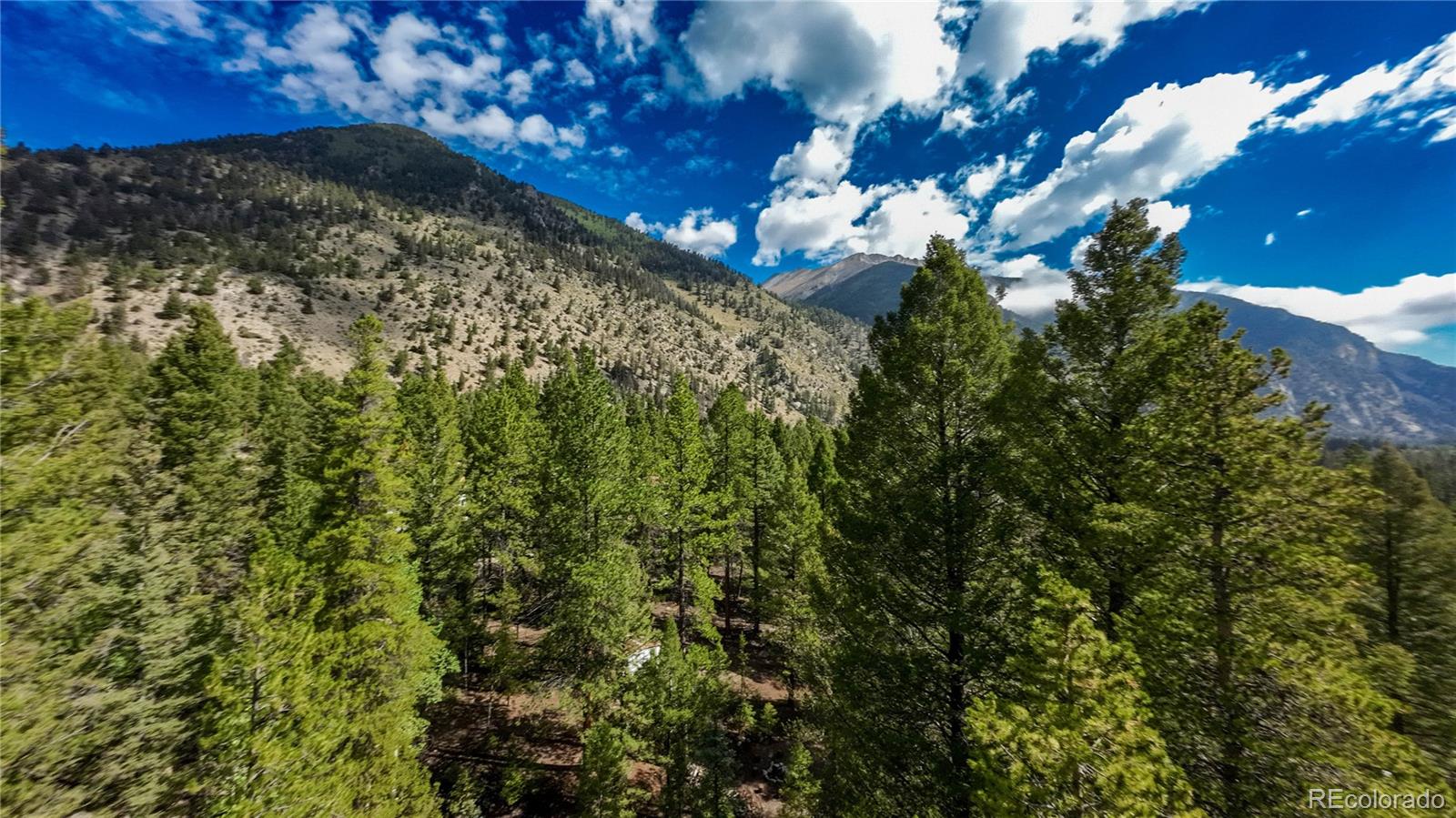 22297 County Road 292d Nathrop CO 81236