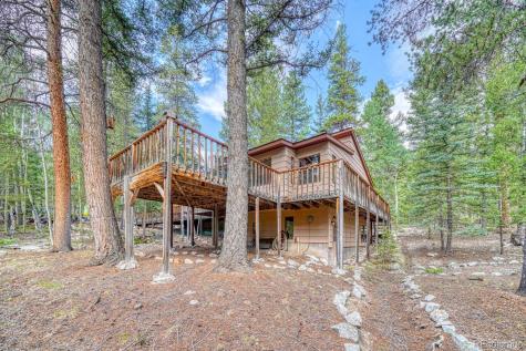 22297 County Road 292d Nathrop CO 81236