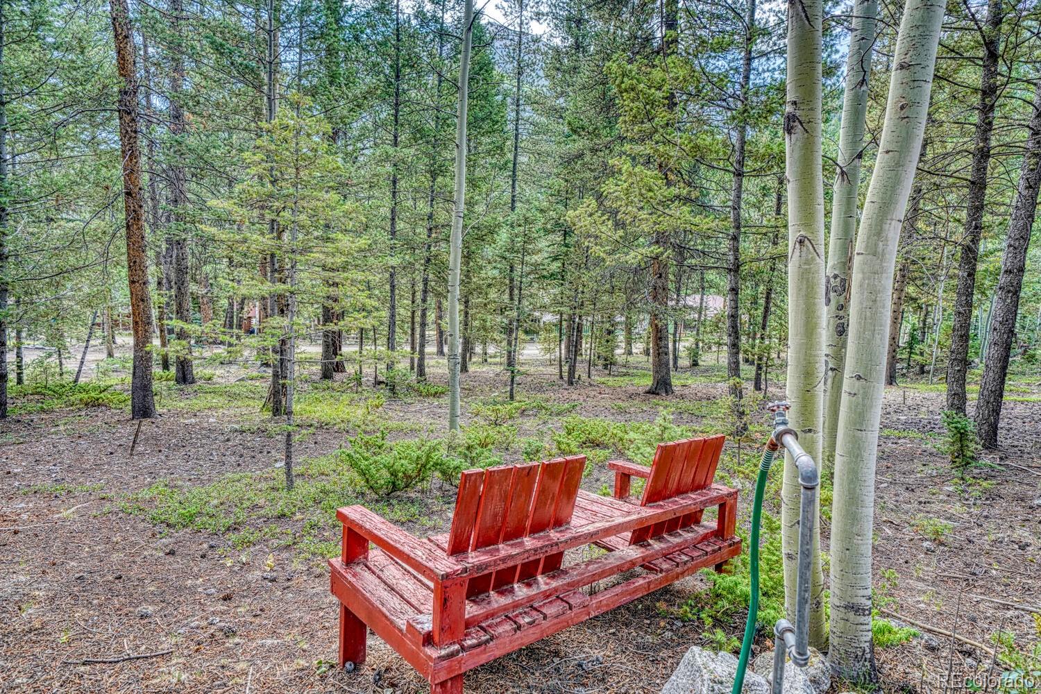 22297 County Road 292d Nathrop CO 81236